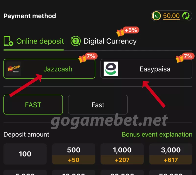 Choose a Payment Method