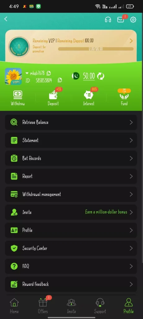 gogame pakistan